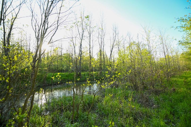 vandalia 450 (2)-2988