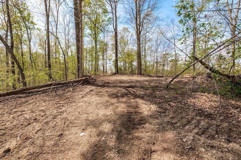 60-web-or-mls-0 Mound Creek Rd-30