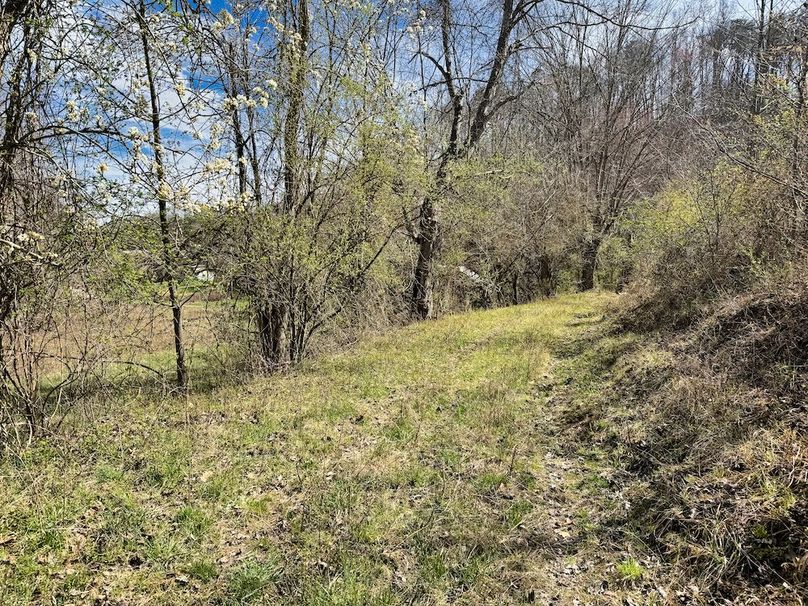 017 great internal road leading from the driveway all the way to the valley head