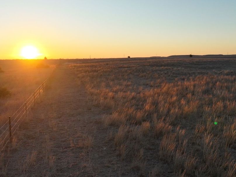 dji_fly_20240404_072724_889_1712233857774_photo