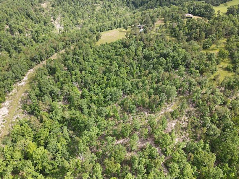 DJI_0453