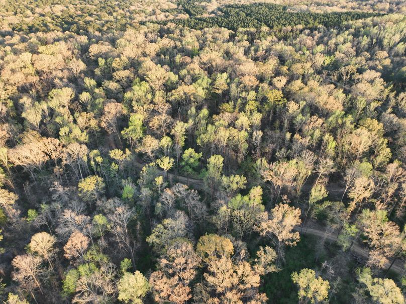 DJI_0016
