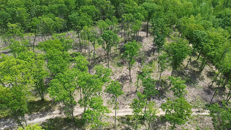 2024-05-24-12-55-37-643