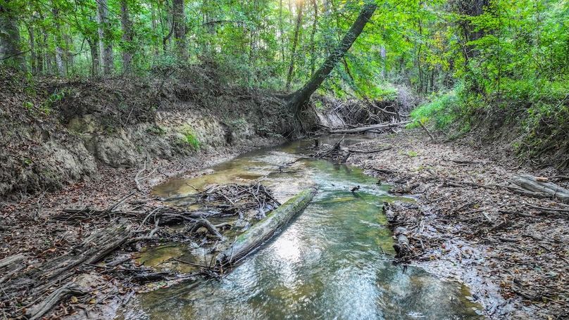 DJI_20250918080200_0109_D