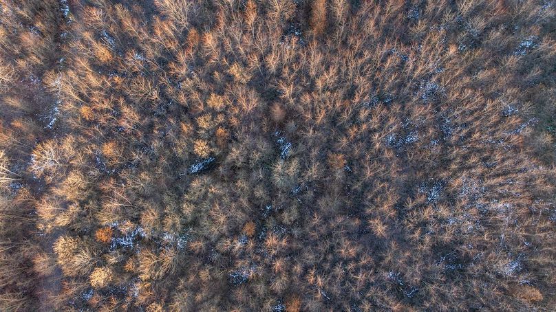 DJI_20251208074151_0011_D