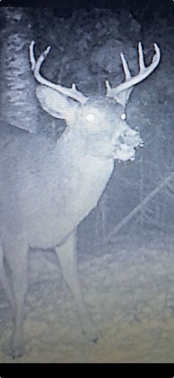 Screenshot 2025-09-24 at 11.34.57 AM