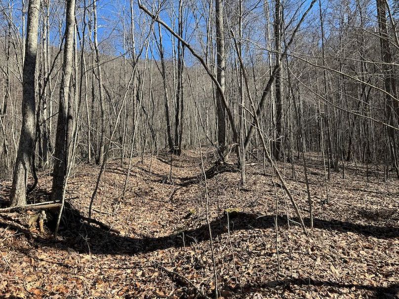 Cherokee 118.85 Harris Top-10