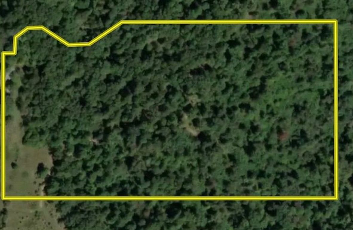 Screenshot 2025-12-06 at 5.25.04 PM