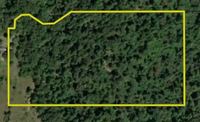 Screenshot 2025-12-06 at 5.25.04 PM