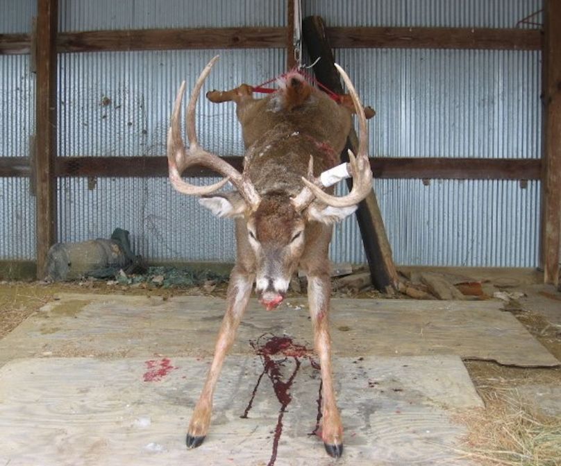 Iowa big buck