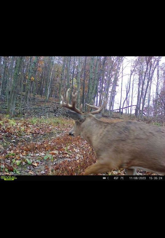 Monroe 120 Trailcam - 10 of 14