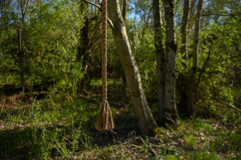 vandalia 450 (2)-2480