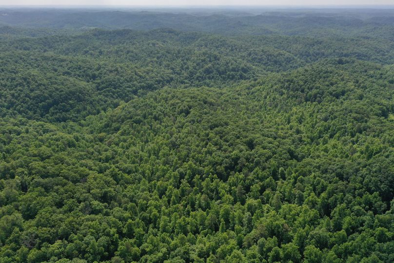 003 mid altitude drone shot from the west edge of the property looking to the east