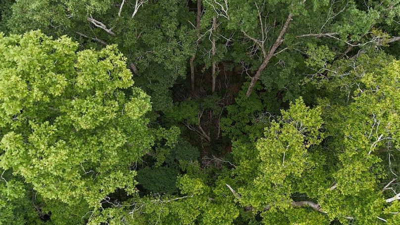 dji_fly_20250715_130818_0648_1752599372402_photo