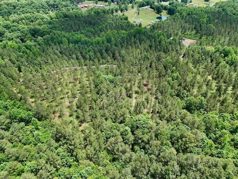 DJI_20260527142634_0015_D