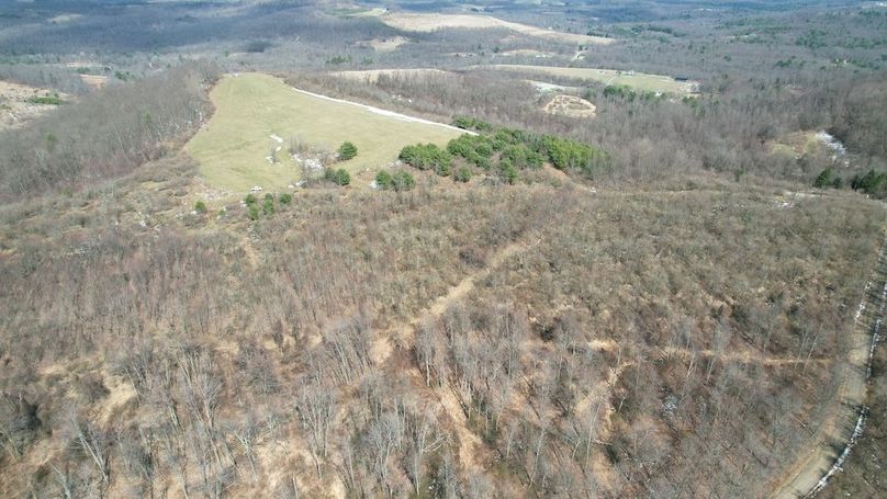 dji_fly_20260319_142652_151_1773945016089_photo