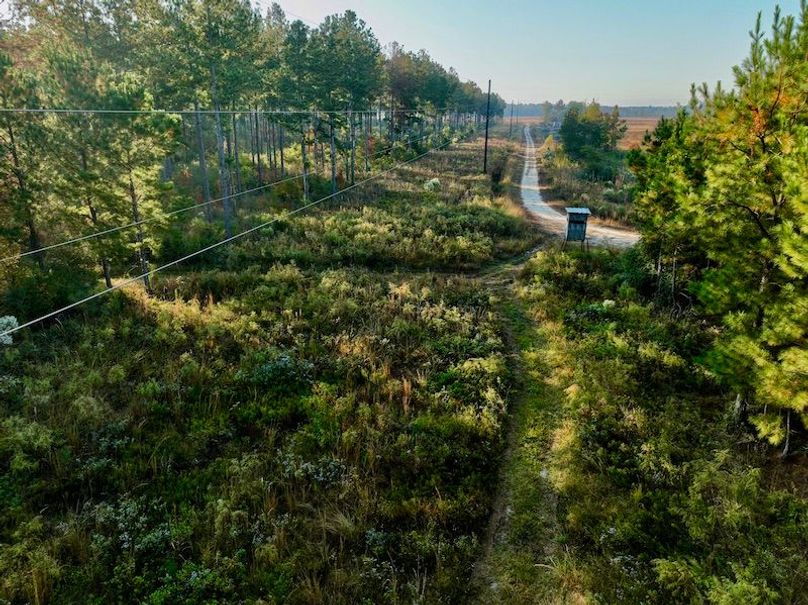 F57F65E1-405A-43A2-99D3-1C420A33A5D2_1_201_a