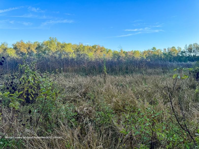 DeSoto 109 Prewett -30
