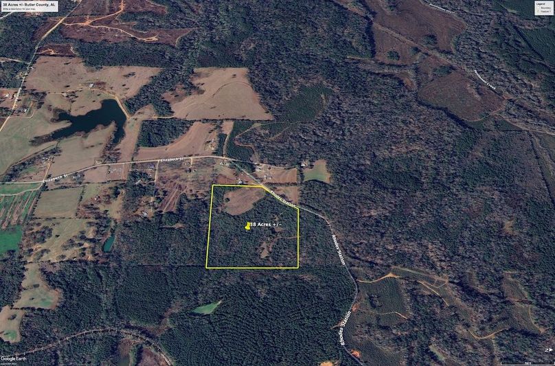 Aerial #5 Approx. 38 Acres Butler County, AL