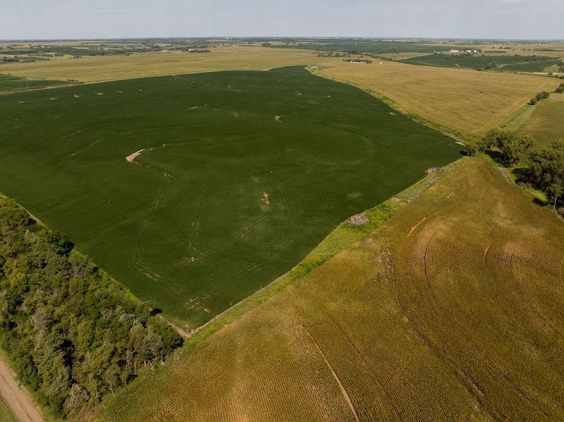 DJI_20250822114308_0075_D