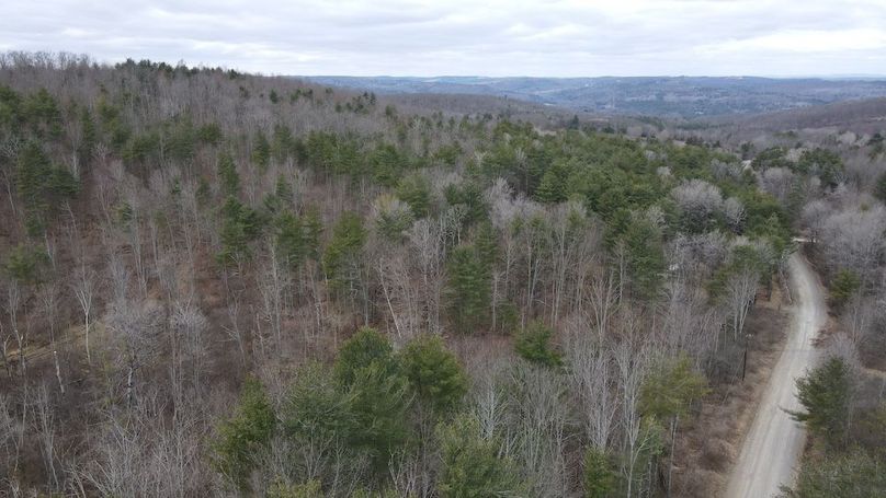 18 dji_fly_20250325_112806_943_1742916497442_photo
