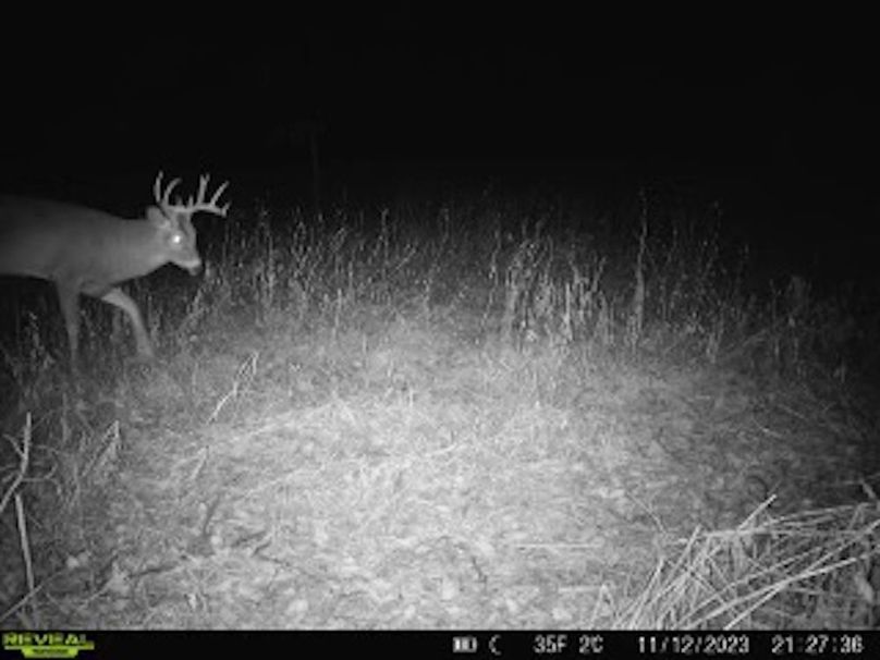 ded434aa-2d5d-4fe2-b072-f7f6f0d5b3cc