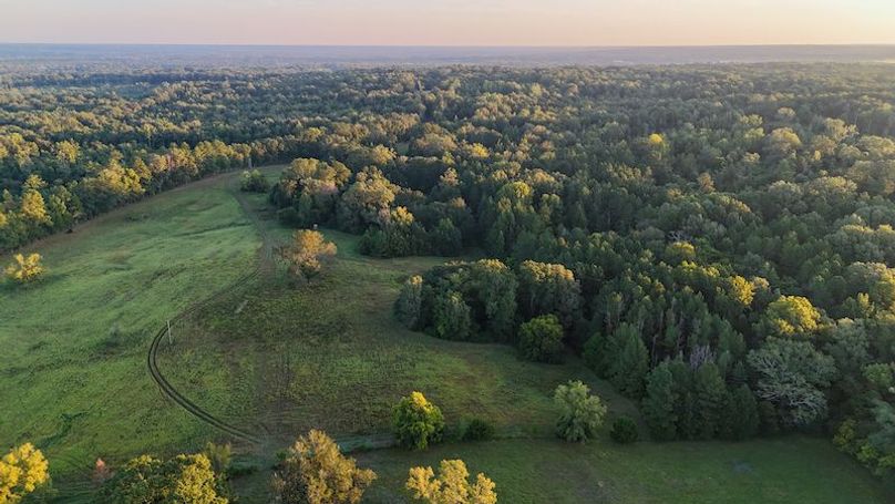 Hinds Co - 78 - Newman-31