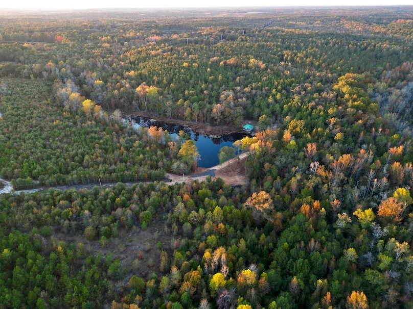 dji_fly_20251103_173436_409_1762260582186_photo