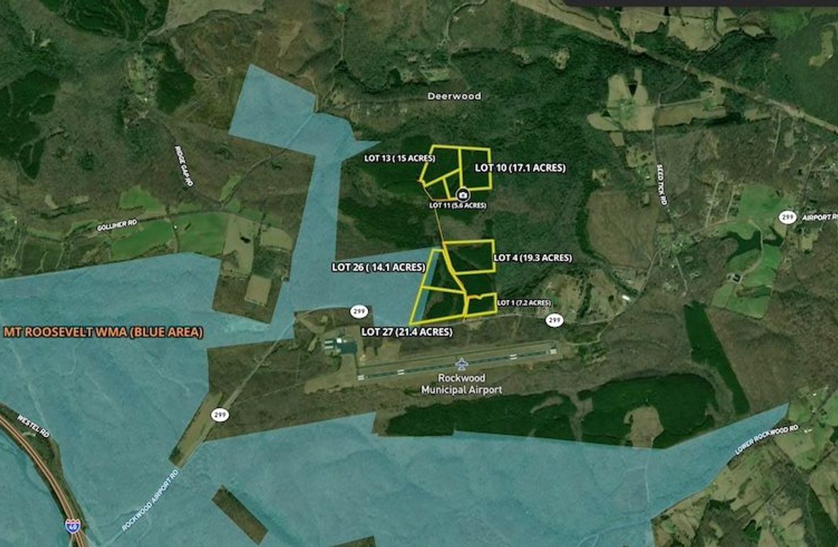 Screenshot 2025-08-01 at 9.22.48 AM