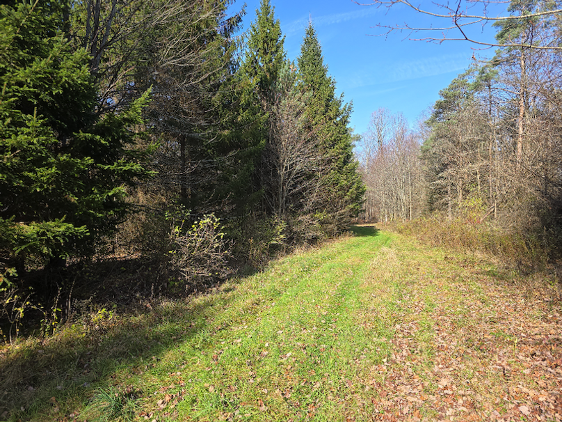 photo_631c2168-1d76-4e90-8e7e-662034919c39