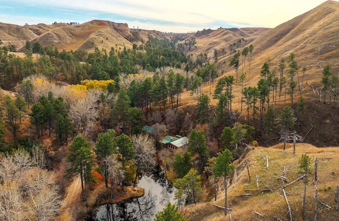 COVER PHOTO FOR WEBSITE