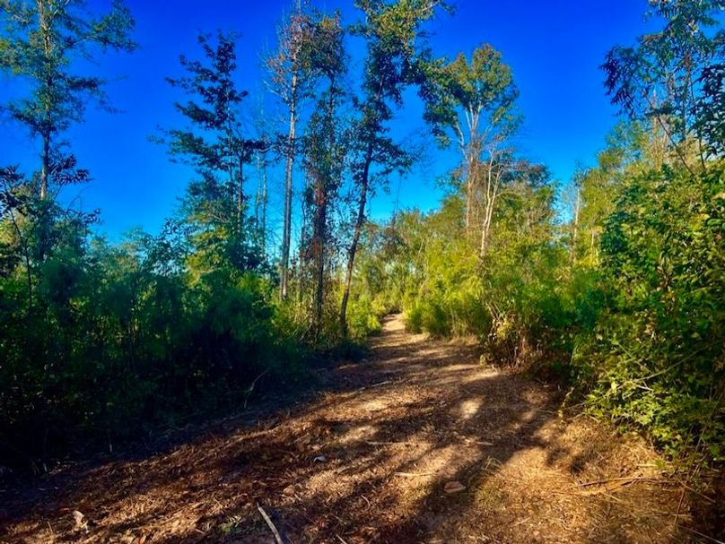 7090EAC6-DD63-4EFB-8B21-300C71CF2EC5_1_105_c