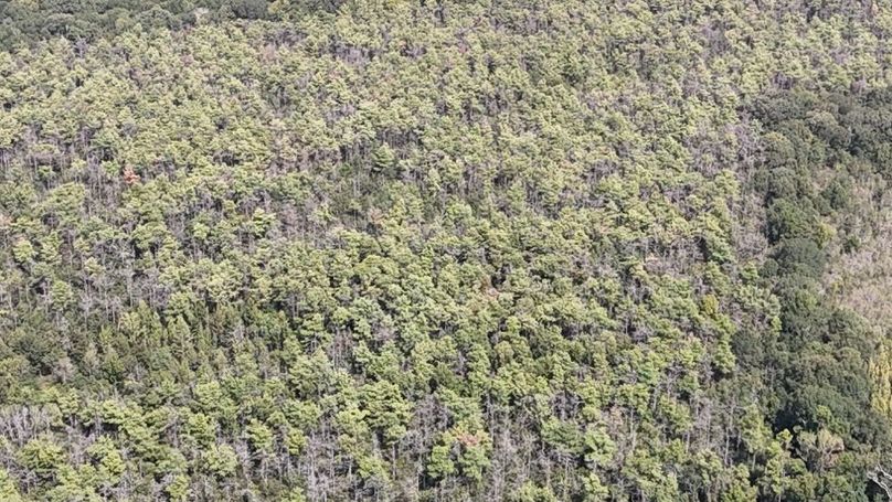 DJI_20250923005150_0745_D