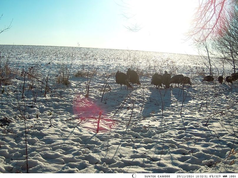 2024-1129-163232_000431