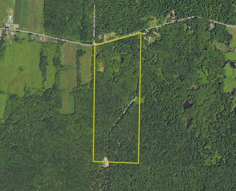 Screen Shot 2024-03-13 at 6.57.43 PM