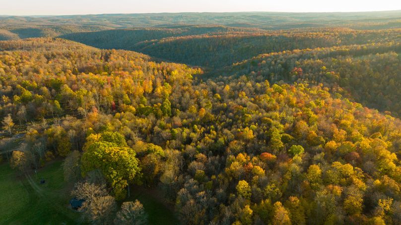 Elk PA 7000 Feature_Pro Photo-167