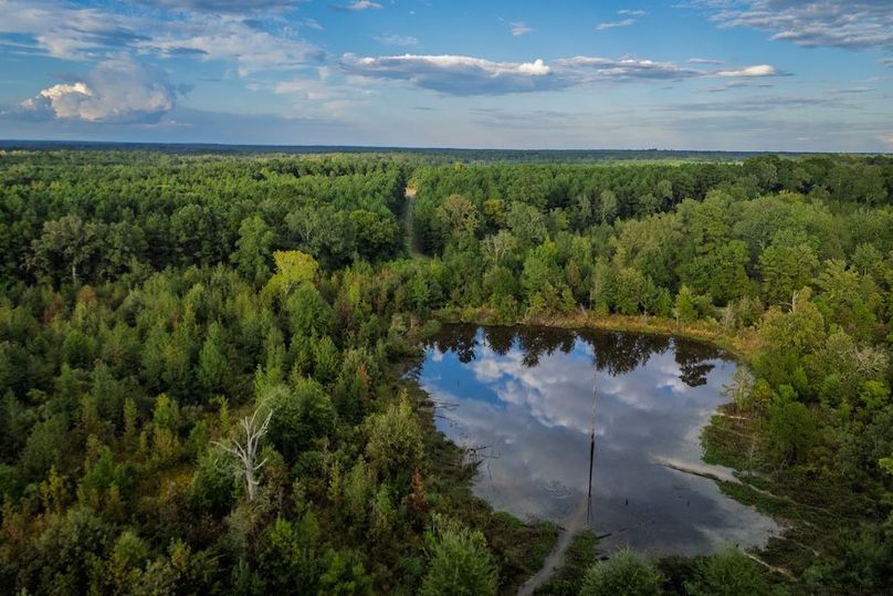 36 DJI_20251007175337_0396_D