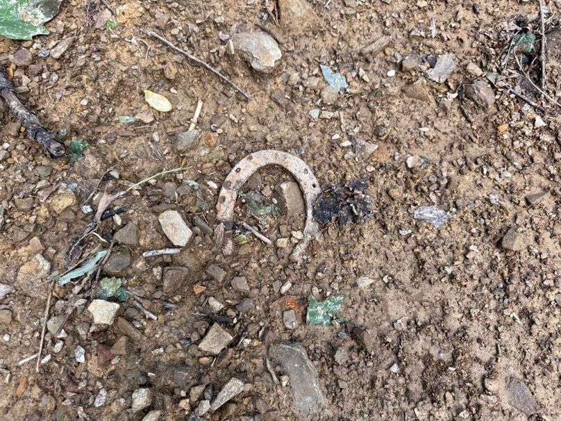 011 something is telling me this spot my just be lucky!-2