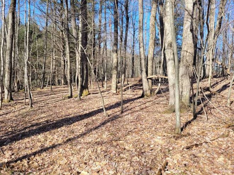 11067406-sTvgQ6YM3LpqXVtY