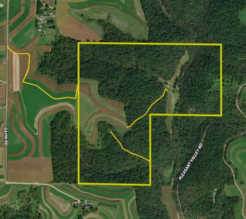 Screenshot 2024-07-30 at 4.48.36 PM