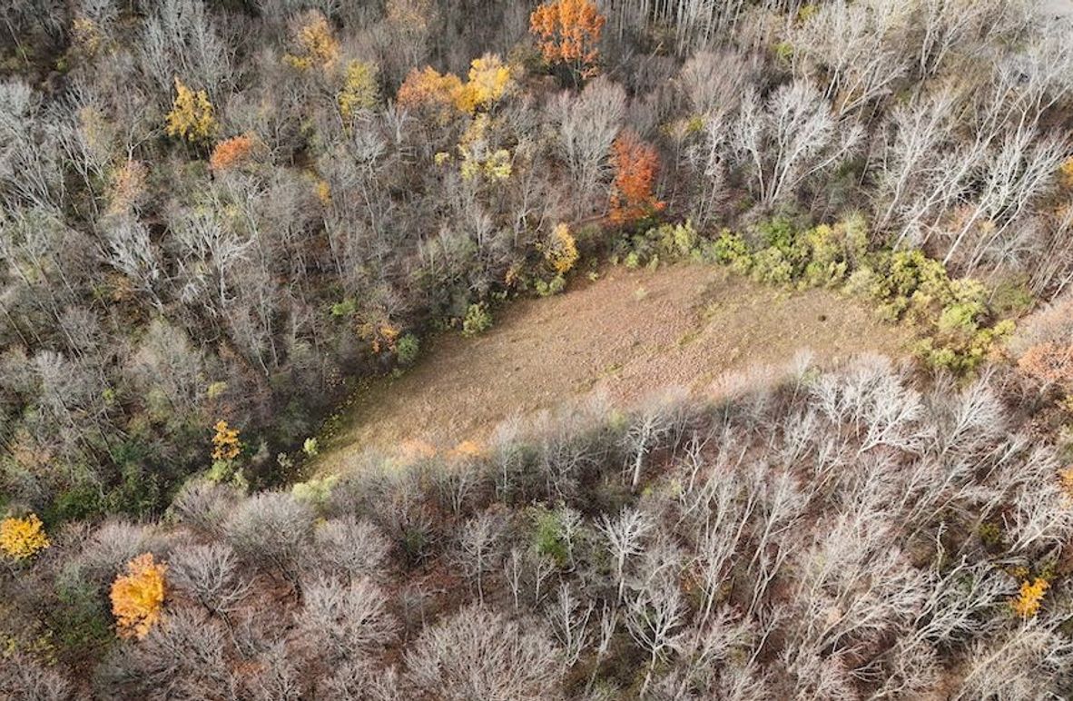 Wayne_18.11_Koehler Photo 1c