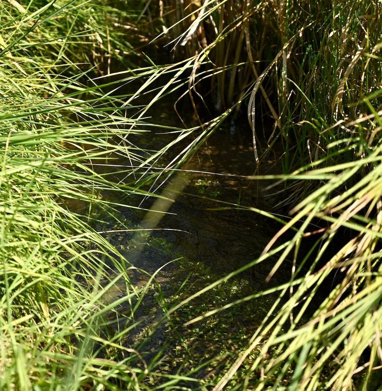 DSC_2897