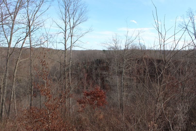 014 view to the west from the ridge on the south boundary