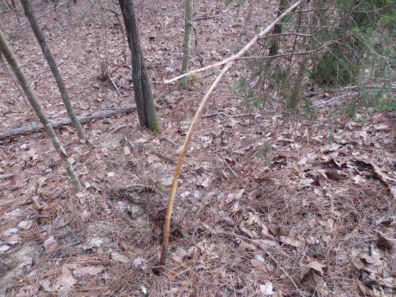 69726277-4515-43FE-AC13-F56933738D10