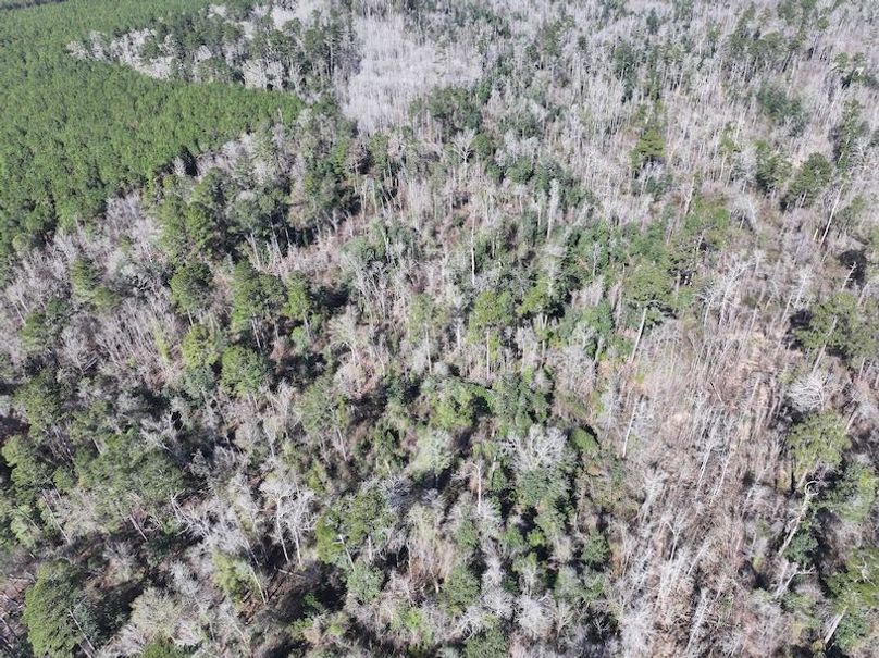 dji_fly_20260112_110220_0811_1768323792188_photo