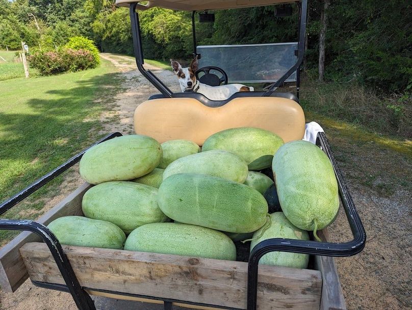 PXL_20230809_205643261