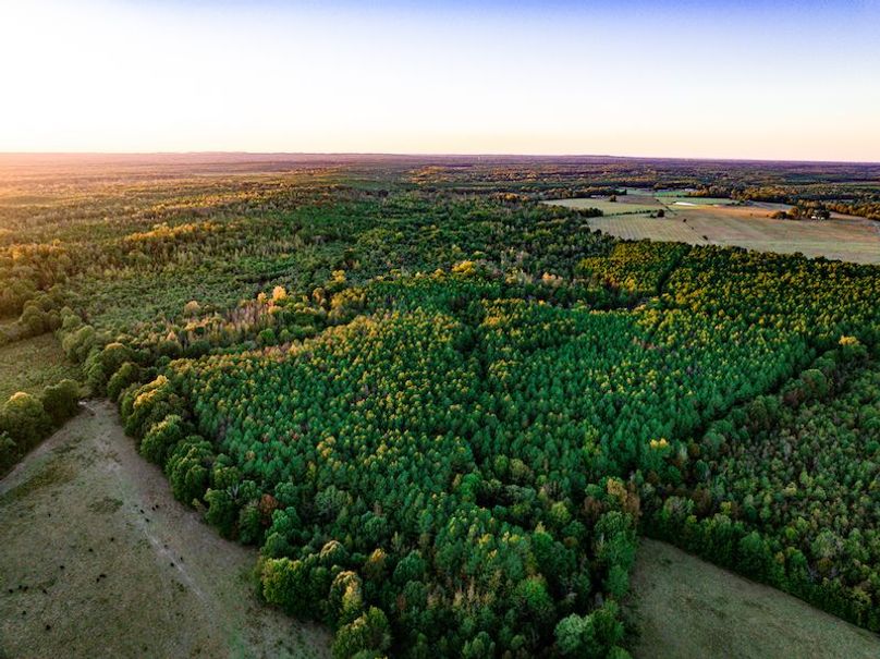 Clay 302.7 Henderson-48