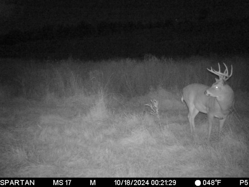 File Oct 18 2024, 6 15 28 AM