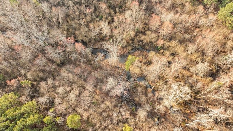 23-web-or-mls-DJI_0023