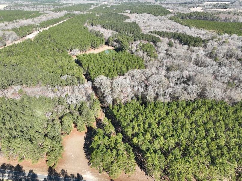 dji_fly_20240207_103724_48_1707320797206_photo